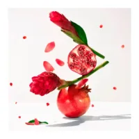 Gingembre Rouge Gingembre Rouge - Gingembre Rouge Body Lotion by Roger & Gallet
