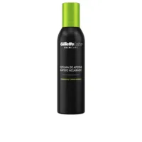 Gillette Labs - Skincare Labs Shaving Foam by Gillette